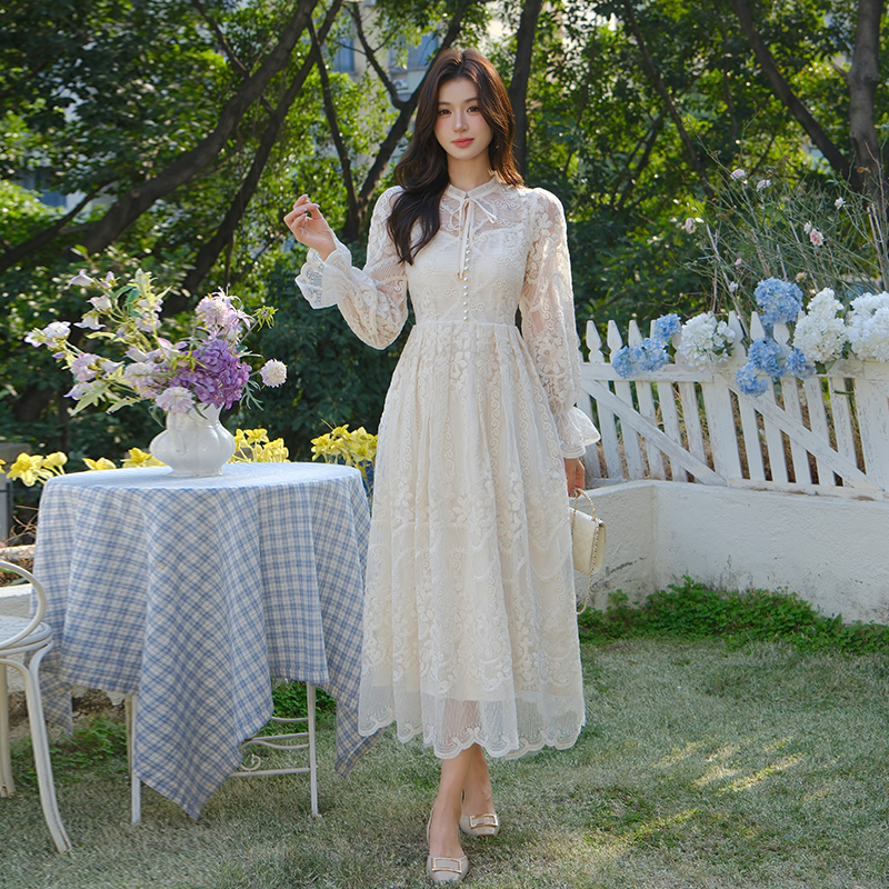 Elegant Embroidered Long Sleeve A-Line Midi Dress