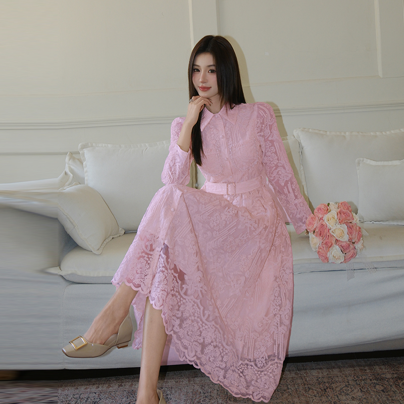 Elegant Embroidered Shirt Collar Waist-Slimming Midi Dress