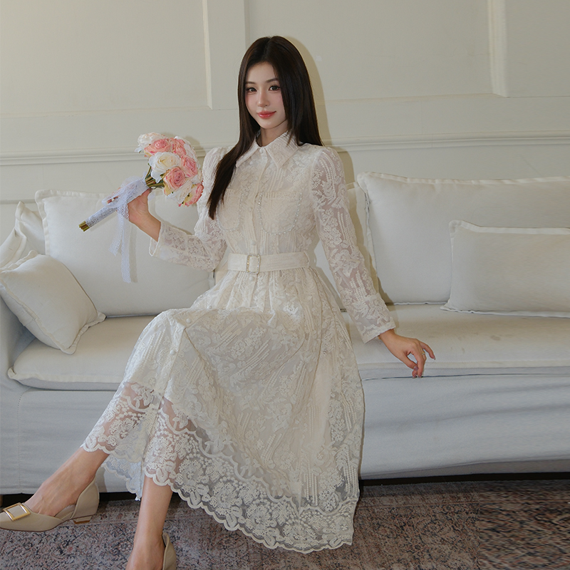 Elegant Embroidered Shirt Collar Waist-Slimming Midi Dress - Image 2